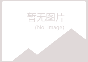 鹤岗兴山初礼服务有限公司